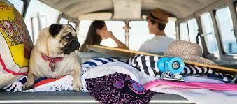 I only wish it were closer to me. Vca Mission Animal Hospital Home Facebook