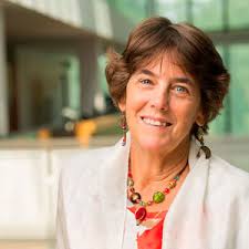 M.A. in Cultural Sustainability Faculty