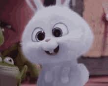 We post videos every saturday. Snowball Bunny Gifs Tenor