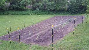 Can i put an electric fence in my garden. Got Our Garden In And Electric Fence Up Today Still Need To Put Some Fence Panels For Our Viney Plants To Climb Up But We Learned A Lot From Last Year Homestead