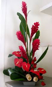 Pin On Tropical Centerpieces