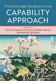 Penguin limited edition antiquarian & collectible books. Human Security Chapter 29 The Cambridge Handbook Of The Capability Approach