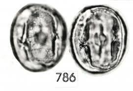 Image result for Teramnus uncinatus