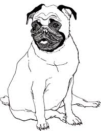 February 20, 2021 at 6:55 pm. Realistic Pug Coloring Pages Coloring Pages Ideas