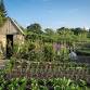 Vegetable Growing for Beginners event image