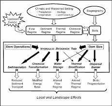 Flow Chart Illustrating How Attributes Of Dam Reservoir