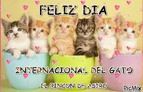 ¡celebremos cada 20 de febrero el día de nuestros. Dia Del Gato Picmix