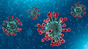 European centre for disease prevention and control. Coronavirus Prevention Risks And Protocols For Professional Textile Care