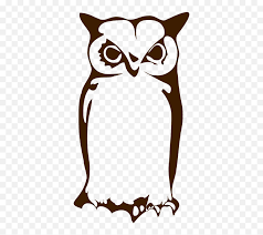 Juegos olimpicos 2021 basquet / asi seran los grup. Bunga Tribal Flower Floral Design Free Content Clip Art Lavender Tato Tribal Bunga Transparent Png 20 Gambar Sketsa Kumpulan Gambar Sketsa Bunga Gambar Tribal Bunga 22 03 2019 Gambar Sketsa