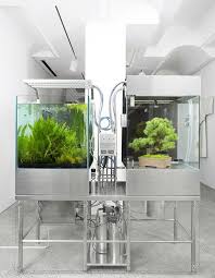 A Deconstructed Paludarium Aquascape Azuma Makoto Aquarium