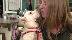 National Puppy Day at Shelter Hope Pet Shop