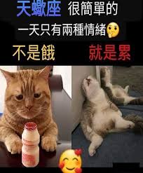 天蠍座- 🐥
