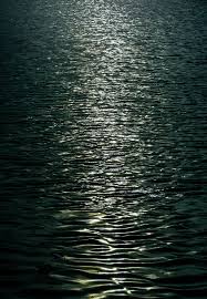 Sea org members act as goodwill representatives and administrators of scientology; Free Photo Photo Of The Sea Background Ocean Reflection Free Download Jooinn