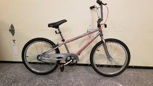 Image result for Silver 1995 Aerostar