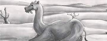 In the beginning of years, when the world was so new and all, and the animals were just beginning to work for man, there was a camel, and he lived in the middle of a howling desert because he did not want to work; How The Camel Got His Hump Ncert Class 8 English Learnapt