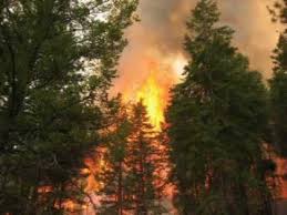 Maybe you would like to learn more about one of these? Kelowna Fire Storm 2003 Youtube