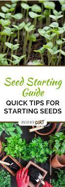 Pin On How To Grow A Vegetable Garden