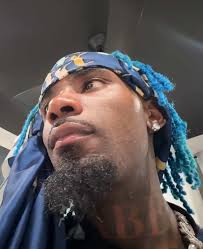 Dabb: El nuevo terminador de insectos