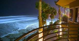 The 9 Best San Diego Beachfront Hotels Of 2021 San Diego Hotels San Diego Resorts Ocean View Hotel