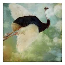 Anastasia S Flying Ostrich Poster Zazzle Com Bird Poster Poster Prints Ostrich