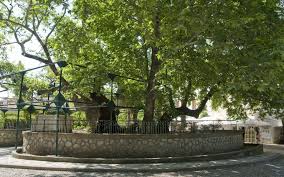 Η κως, βρίσκεται στο κέντρο των δωδεκάνησων και είναι το τρίτο μεγαλύτερο νησί σε έκταση μετά τη ρόδο και την κάρπαθο και το δεύτερο μετά τη ρόδο μεγαλύτερο σε πληθυσμό (33.388 κάτοικοι). Kws To Asklhpieio Kai O Platanos Toy Ippokrath In Gr