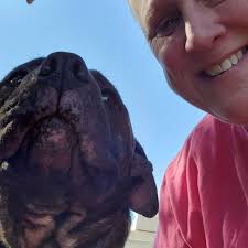 Top Tuscaloosa Pet Transport