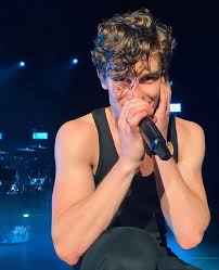 Shawn Mendes In My Dreams You Re With Me Pin De Rosalee Torres En Shawn Mendes Shawn Mendes Celebridades Chon Mendes