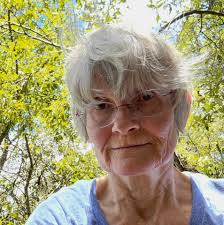 Lost Feather in Birds of Prey