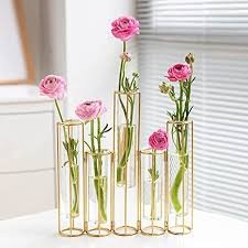 Ships free orders over $39. Amazon Com Bigsee Test Tube Vase For Flowers Glass Vase With Metal Stand Racks Hydroponic Test Tubevase Set Of 5 Gold Hinged Plant Vases Display Set Table Centerpieces Vase For Home Decor Gold