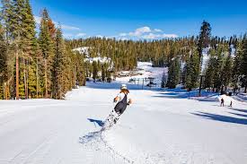 Exciting weather forecast already...