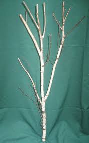 Birch Branches For Sale Near Me Native Maine White Birch Branch Display By Mainegardenshed On Etsy 12 99 Birch Branches