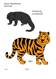Activity and more printable rainforest animal coloring pages all about animals are gods creation this special page rainforest coloring pages hopefully the kids happy there are all sorts of animals on this page please see rainforest rainforest coloring sheets free coloring pages free. Coloring Sheet Asian Rainforest Animals Printable Pdf Download