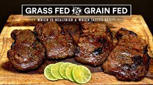 10 oz pkg | $19.03 / lb. Grass Fed Vs Grain Fed Steak Experiment Which Is Best Youtube