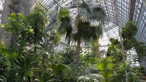Berlin Dahlem Auf Humboldts Spuren Im Botanischen Garten