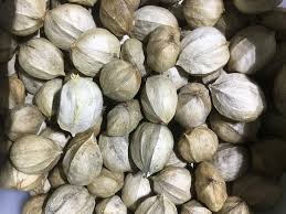 Its smooth bark when young is especially sensitive to fire damage, and even large trees can die from a wildfire. Shagbark Hickory Nut Localharvest