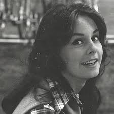 Requiem for Roxanne by Craig Scoville