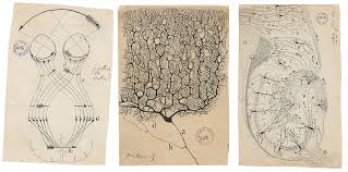 Sci-Art: From Leonardo da Vinci to ...