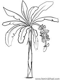 Banana coloring page that you can customize and print for kids. Banana Tree Coloring Page Print Banana Is One Of The Most Popular Fruits In The World Besides Being Us Tree Coloring Page Coloring Pages Fruit Coloring Pages