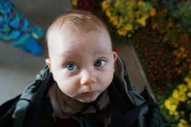 Dresdner Frühling im Palais