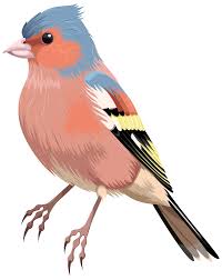 Bird PNG Clip Art - Best WEB Clipart