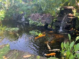 Koi, ponds, japanese style gardens. Luxury Koi Ponds Dispersed Within Super Beautiful Homes Along Big Island S Kohala Coast And Waters