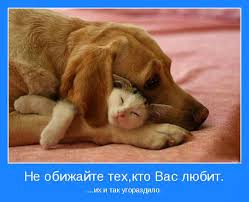 Такого праздника нет — утверждает календарь официальных всемирных дружба — великое и удивительное чувство. 9 Iyunya Mezhdunarodnyj Den Druzej
