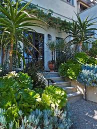 Pacific Horticulture Society Beautiful Belvedere Succulent Landscape Design Succulent Landscaping Landscape Design