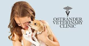 Veterinary services for the pets of london, ontario. Home Ostrander Veterinary Clinic