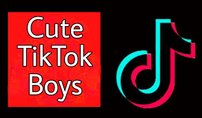 The latest tweets from @spicytiktokboys Top 19 Cute Handsome Tiktok Boys Updated 2021 With Followers Tik Tok Tips