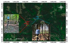 All kinds of electronic gizmos and computer gadgets. Sensors Free Full Text Assessment Of Stem Volume On Plots Using Terrestrial Laser Scanner A Precision Forestry Application Html