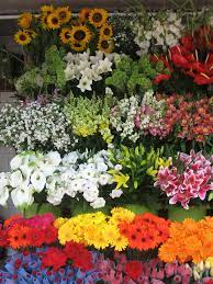 Sao Paulo Banca De Flores Cemiterio Do Araca Flowers Mark Flickr