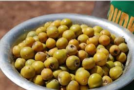 Image result for Diospyros mespiliformis