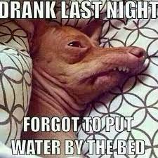 Message in your drunk memes. Funny Drinking Memes The Best Drinking Memes Online Slapwank