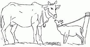 The dog and her children. Free Printable Cow Coloring Pages For Kids